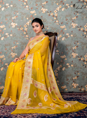 Hemangi Pure Chiffon Banarasi (Saree)