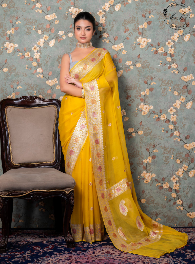 Hemangi Pure Chiffon Banarasi (Saree)